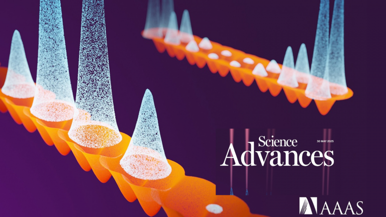 Afghanistan : la paix la plus amère de l’histoire contemporaine