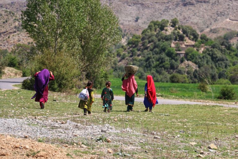 Une image contenant plein air, herbe, arbre, habitudes Le contenu généré par l'IA peut être incorrect.