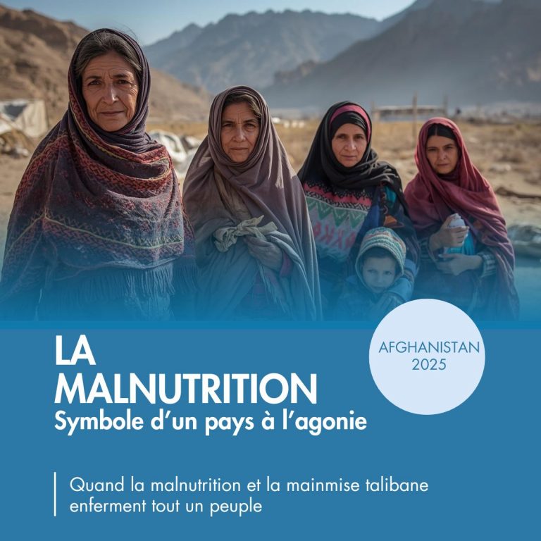 Afghanistan 2025 : Malnutrition et risque de famine