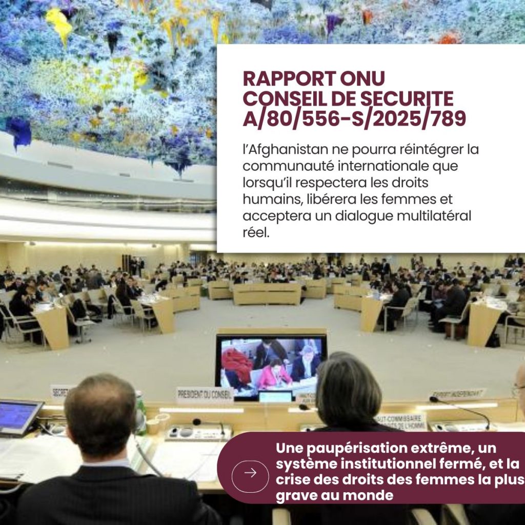 Rapport du Conseil de Sécurité de l'ONU / 10 décembre 2025