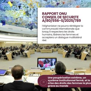 Rapport du Conseil de Sécurité de l'ONU / 10 décembre 2025
