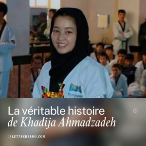 De La Haye à Herat : La diplomatie grise et le prix du récit