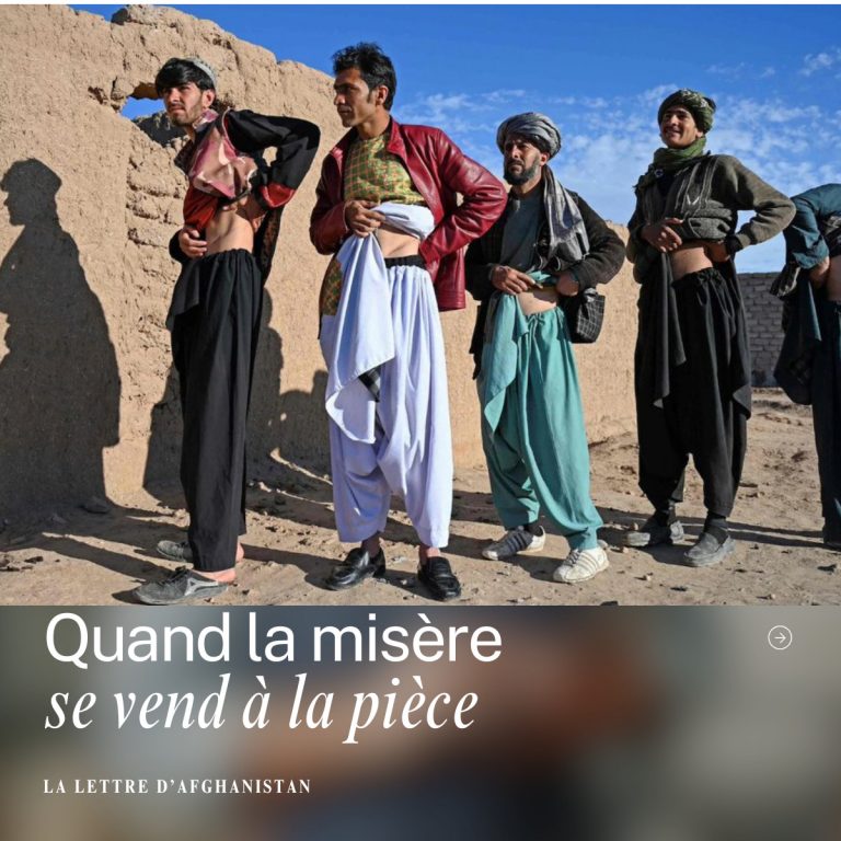 Herat, Afghanistan : quand la misère se vend à la pièce