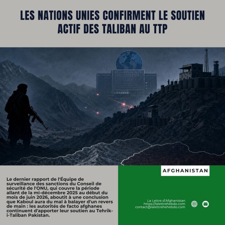 Les Nations Unies confirment le soutien actif des taliban au TTP
