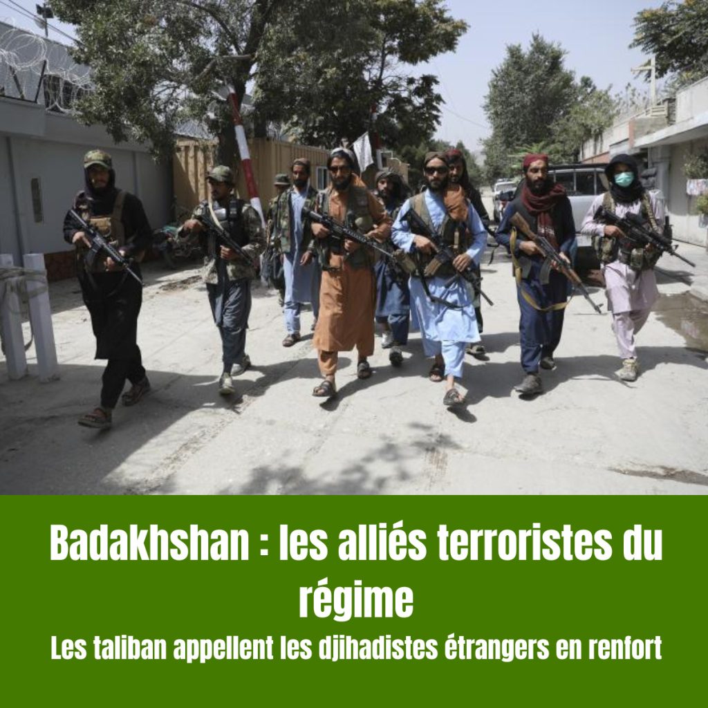 AFGHANISTAN : les alliés terroristes du régime